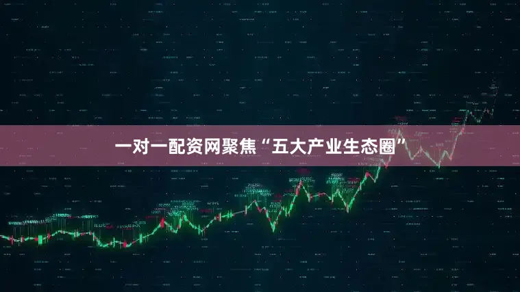 一对一配资网聚焦“五大产业生态圈”