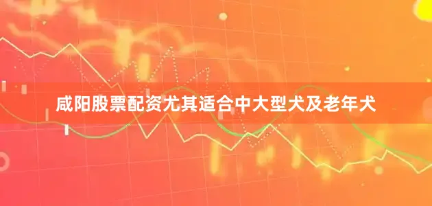 咸阳股票配资尤其适合中大型犬及老年犬