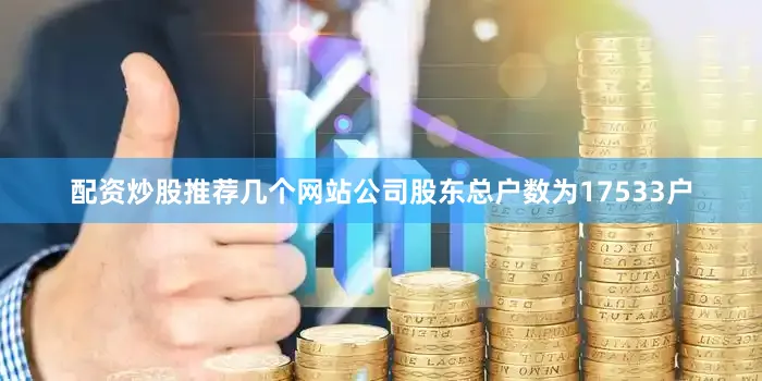 配资炒股推荐几个网站公司股东总户数为17533户