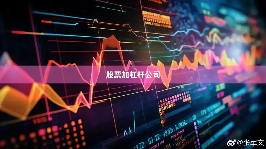 股票加杠杆公司