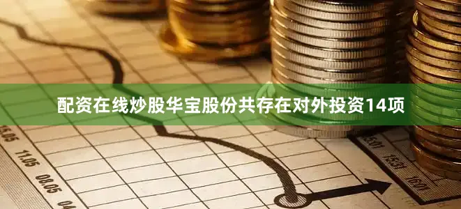配资在线炒股华宝股份共存在对外投资14项