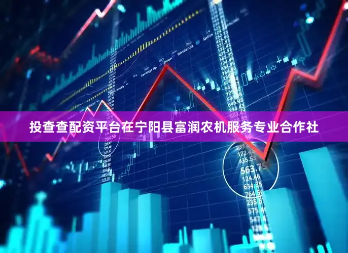 投查查配资平台在宁阳县富润农机服务专业合作社