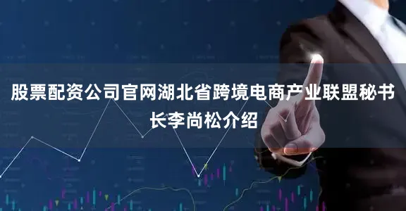 股票配资公司官网湖北省跨境电商产业联盟秘书长李尚松介绍